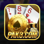 PAK 3 Game