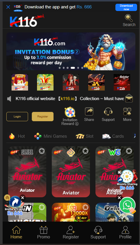 K116 Game